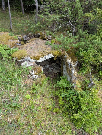 Dolmen du Puech de Cricou Dolmen du Puech de Cricou