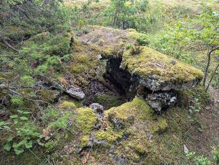 Dolmen du Puech de Cricou Dolmen du Puech de Cricou