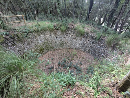 Glacière de la forêt de Puntuí