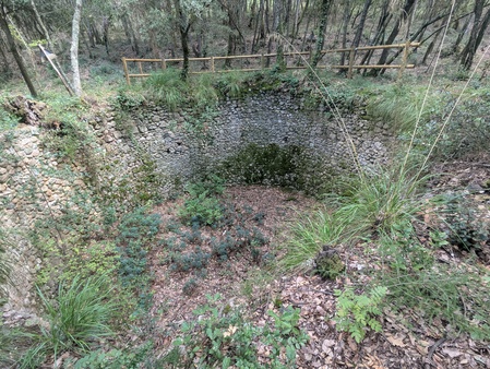 Glacière de la forêt de Puntuí