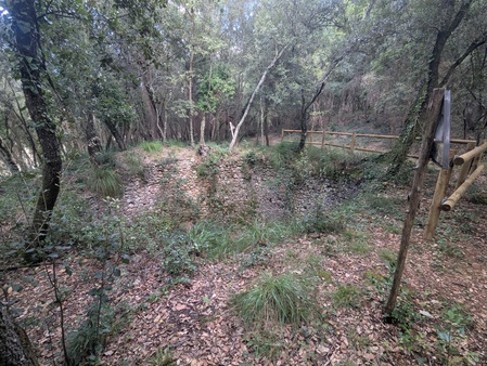 Glacière de la forêt de Puntuí