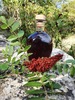 Sirop de sumac