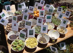 Exposition de plantes comestibles avec dégustation