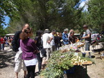 Exposition de plantes comestibles avec dégustation