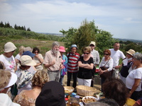 Balade gourmande en garrigue Balade gourmande en garrigue