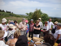 Balade gourmande en garrigue