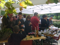 Exposition d’une cinquantaine de plantes comestibles et petite dégustation Exposition d’une cinquantaine de plantes comestibles et petite dégustation