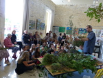 Exposition de plantes autour des livres sur le thème de la garrigue